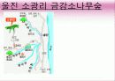 영화 '가을로' 줄거리&여행지 소개&인물들시점에서본 여행지 17페이지