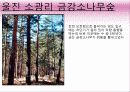 영화 '가을로' 줄거리&여행지 소개&인물들시점에서본 여행지 18페이지