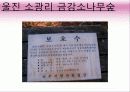 영화 '가을로' 줄거리&여행지 소개&인물들시점에서본 여행지 19페이지