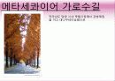 영화 '가을로' 줄거리&여행지 소개&인물들시점에서본 여행지 26페이지