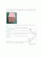 목재의 맞춤 3페이지