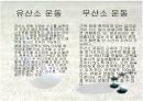 GOLF Pre-season 트레이닝 프로그램 5페이지
