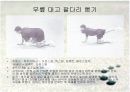 GOLF Pre-season 트레이닝 프로그램 19페이지