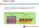 TLM(Transfer Length Method)이란? 20페이지