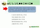 [인터넷마케팅]인터넷포털 ‘네이버(NAVER)’의 마케팅전략 분석(A+리포트) 8페이지
