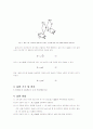 이중 코일을 이용한 자기유도 3페이지