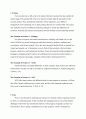 기업들의 국제시장에서의 마케팅 전략 (4p) 3페이지