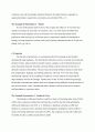 기업들의 국제시장에서의 마케팅 전략 (4p) 5페이지