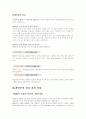 레인콤 경영전략분석과 문제점대안과 전략 5페이지