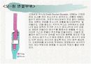 스페이스 셔틀 폭발 9페이지