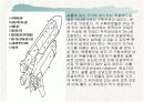 스페이스 셔틀 폭발 10페이지