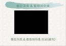 스페이스 셔틀 폭발 26페이지