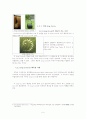 초자연 현상중 Crop Circle이 가지는 의미 5페이지