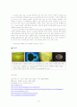초자연 현상중 Crop Circle이 가지는 의미 10페이지