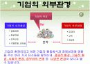 기업의 외부환경 4페이지