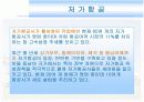[경영과의사결정]저가항공산업 및 제주항공 경영전략 분석(A+리포트) 11페이지