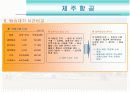 [경영과의사결정]저가항공산업 및 제주항공 경영전략 분석(A+리포트) 17페이지