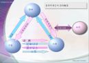시장경제의 이해  25페이지