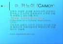 경쟁하는 교육이론 29페이지