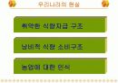세계 식량위기에 따른 우리나라의 식량자급대책 7페이지