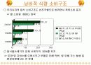 세계 식량위기에 따른 우리나라의 식량자급대책 10페이지