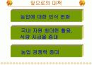 세계 식량위기에 따른 우리나라의 식량자급대책 12페이지