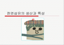 천연섬유의 생산과 특성 1페이지