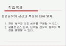천연섬유의 생산과 특성 3페이지