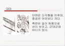 천연섬유의 생산과 특성 11페이지