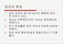 천연섬유의 생산과 특성 13페이지