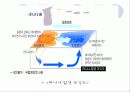 엘리뇨와 라니뇨 ppt 발표 14페이지