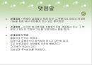 경제범죄에 관한 논문을 가지고 만든 파워포인트입니다. 21페이지