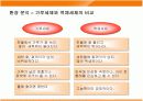 히트상품 액츠(Actz)의 성공과 새로운 전략 12페이지
