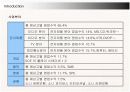 소니 코리아(SONY KOREA)의 국내시장진출과 새로운 전략 8페이지