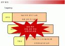 국내시장 공략을 위한 애플 아이팟의 마케팅전략 17페이지