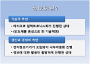 정보화의 성공사례와 실패사례 2페이지