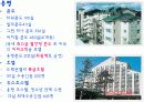 휘닉스파크리조트를 주제로한 조사(간단한 용평과의비교) 8페이지