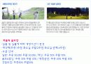 휘닉스파크리조트를 주제로한 조사(간단한 용평과의비교) 11페이지