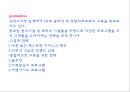 휘닉스파크리조트를 주제로한 조사(간단한 용평과의비교) 33페이지