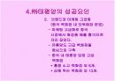태평양 중국 마케팅 전략 12페이지