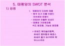 태평양 중국 마케팅 전략 16페이지