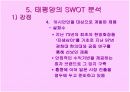 태평양 중국 마케팅 전략 19페이지