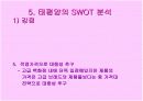 태평양 중국 마케팅 전략 20페이지