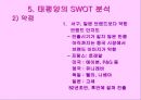 태평양 중국 마케팅 전략 21페이지