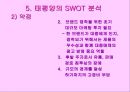 태평양 중국 마케팅 전략 22페이지