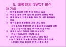 태평양 중국 마케팅 전략 23페이지