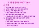 태평양 중국 마케팅 전략 24페이지