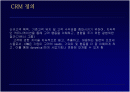 CRM (파워포인트) 2페이지