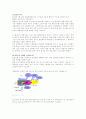 질소산화물 저감기술 5페이지