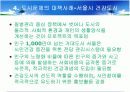 도시문제 17페이지